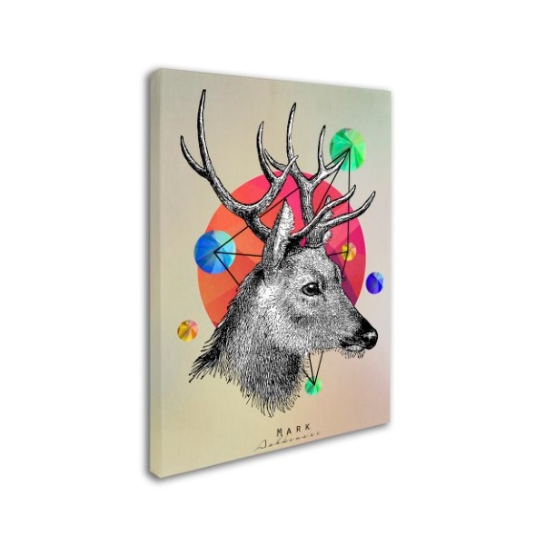 Mark Ashkenazi 'Deer New' Canvas Art,14x19